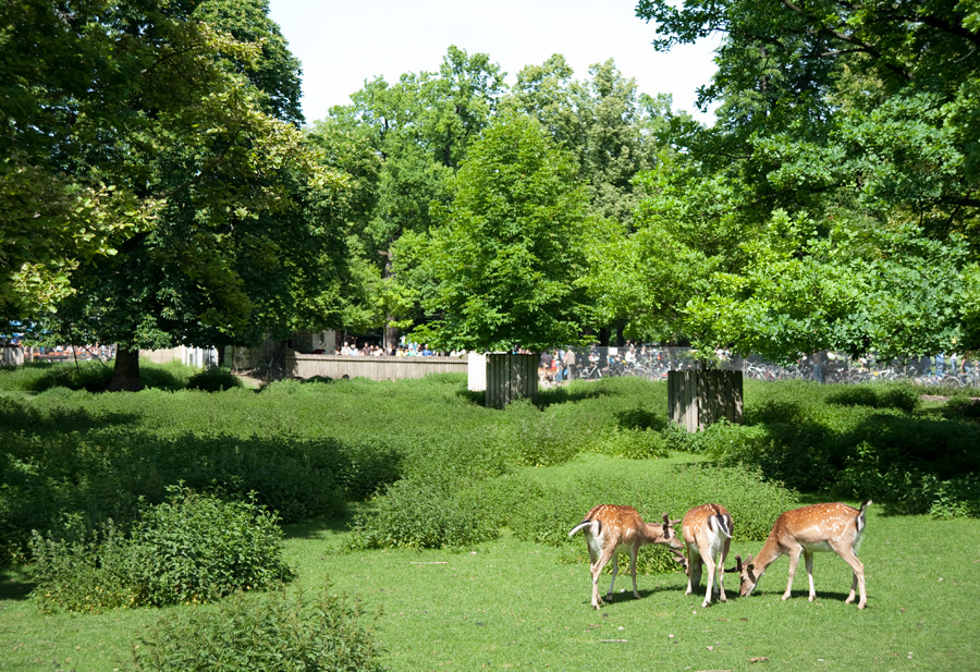 Biergarten Season in Munich Hidden Travel