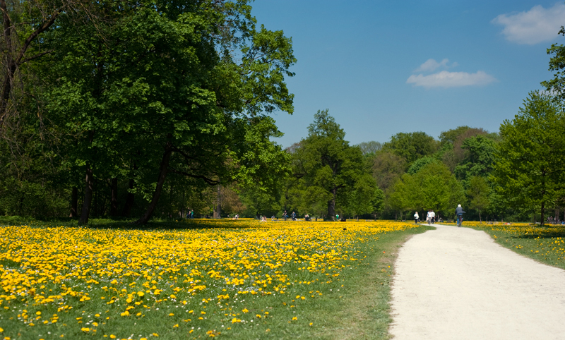 Heading North in the Englischer Garten, Munich | Hidden Travel