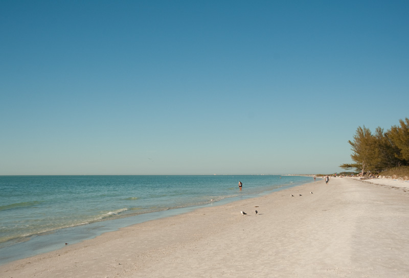 North Beach at Fort De Soto Park | Florida travel, Gulf 