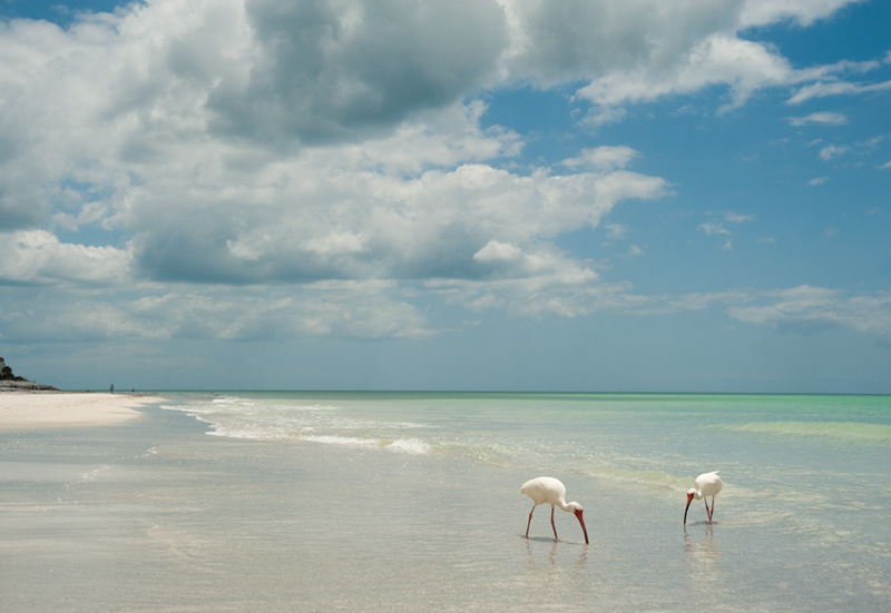 Discover Whitney Beach on Longboat Key: A Travel Guide