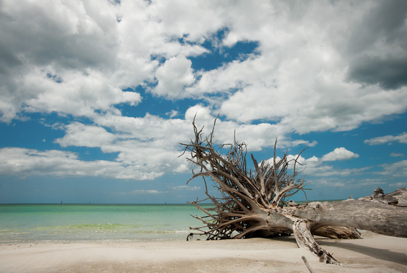 Discover Whitney Beach on Longboat Key: A Travel Guide