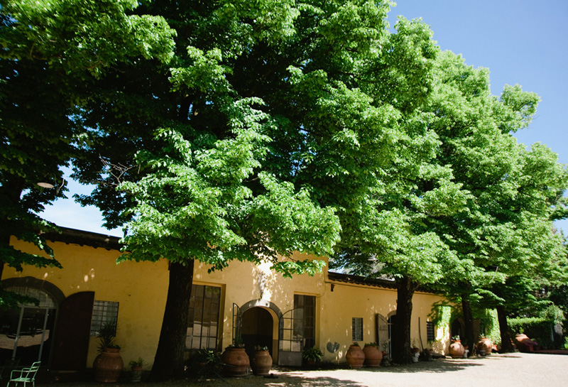 Tuscany in Spring5